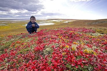 Inuit child on the tundra at the mouth of the Serpentine River near Shishmaref, a tiny island inhabited by around 600 Inuits, between Alaska and Siberia in the Chukchi sea, United States of America, North America