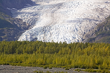 Exit Glacier has retreated rapidly due to global warming, Kenai Fjords National Park, Alaska, United States of America, North America