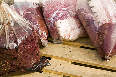 Seal meat, shot by an Inuit hunter, in a bag on the quayside at Ilulissat in Greenland, Polar Regions