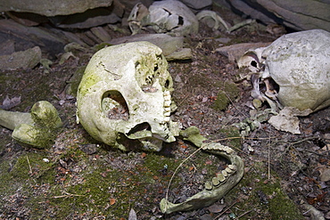 A human Inuit skull in a stone chambered cairn, an ancient grave at least 2000 years old, in Ilulissat in Greenland, Polar Regions