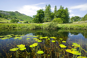 Little Langdale Tarn in the Lake District Ntional Park, Cumbria, England, United Kingdom, Europe