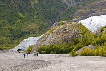 Exit Glacier has retreated rapidly due to global warming, Kenai Fjords National Park, Alaska, United States of America, North America