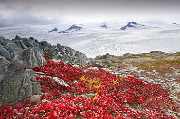 The Harding icefield, receding rapidly due to global warming, Kenai Fjords National Park in Alaska, United States of America, North America