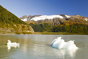 Icebergs from the Portage Glacier in Alaska, United States of America, North America