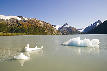 Icebergs from the Portage Glacier in Alaska, United States of America, North America