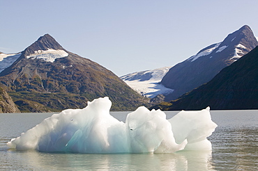 Icebergs from the Portage Glacier in Alaska, United States of America, North America