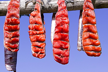 Salmon hanging to dry on Shishmaref, a tiny island inhabited by around 600 Inuits, between Alaska and Siberia in the Chukchi Sea, United States of America, North America