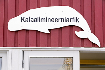 An Inuit shop selling seal and whale meat in Ilulissat on Greenland, Polar Regions