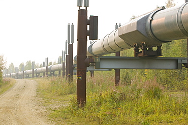 The Trans-Alaskan oil pipeline near Fairbanks, Alaska, United States of America, North America