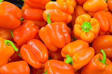 Orange peppers in a Tesco supermarket in Carlisle, Cumbria, England, United Kingdom, Europe