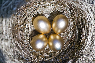 Four golden eggs in a nest 