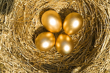 Four golden eggs in a nest 