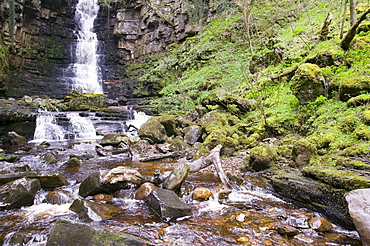 Mill Gill waterfall near Askrigg, Yorkshire Dales, Yorkshire, England, United Kingdom, Europe