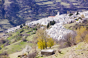 Bubion in the Alpujarras, Andalucia, Southern Spain, Europe