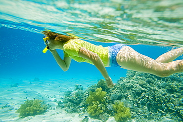 A woman snorkelling on a coral reef near Dahab in the Red Sea, Egypt, North Africa, Africa