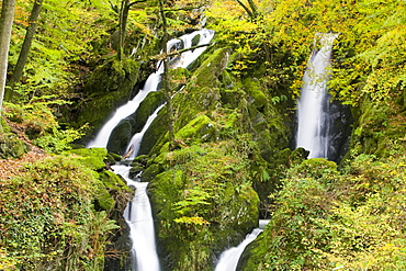 Stock Ghyll waterfall and surrounding woodland in autumn colours in Ambleside, Lake District National Park, Cumbria, England, United Kingdom, Europe