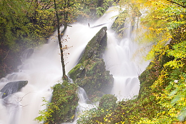 Stock Ghyll waterfall and surrounding woodland in autumn colours in Ambleside, Lake District National Park, Cumbria, England, United Kingdom, Europe