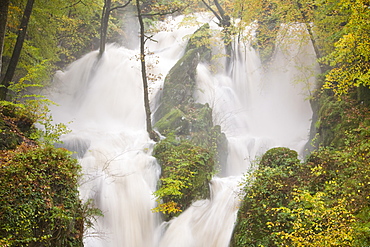 Stock Ghyll waterfall and surrounding woodland in autumn colours in Ambleside, Lake District National Park, Cumbria, England, United Kingdom, Europe