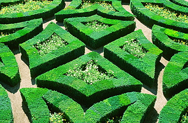 A maze at a french chateau in the Dordogne, France, Europe