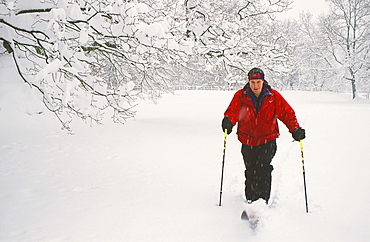 A man cross country skiing in the Lake District, Cumbria, England, United Kingdom, Europe