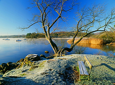 Lake Windermere at dawn in the Lake District National Park, Cumbria, England, United Kingdom, Europe