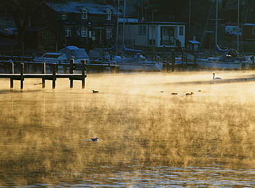 Lake Windermere at dawn in the Lake District National Park, Cumbria, England, United Kingdom, Europe