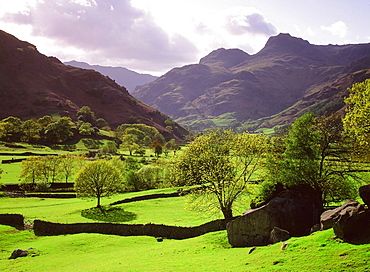 The Langdale Pikes in the Lake District National Park, Cumbria, England, United Kingdom, Europe