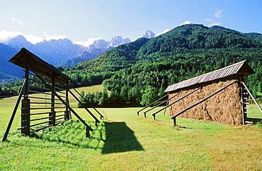 Traditional hay drying racks in the Triglav National Park in Slovenia, Europe