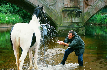 Gypsy man washing a horse in the River Eden at the Appleby Horse Fair, Cumbria, England, United Kingdom, Europe