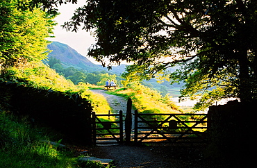 Rydal Water in the Lake District, Cumbria, England, United Kingdom, Europe