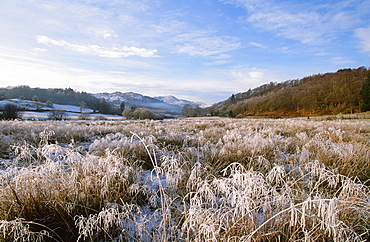 A frosty morning in the Langdale Valley in the Lake District National Park, Cumbria, England, United Kingdom, Europe