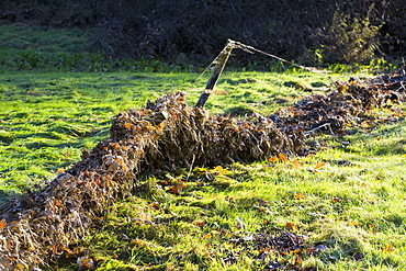 Flood debris on a fence after the October 2008 floods in Ambleside, Cumbria, England, United Kingdom, Europe