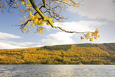 Coniston Water in the Lake District National Park, Cumbria, England, United Kingdom, Europe