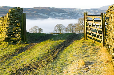 Valley mist over Windermere at dawn in the Lake District National Park, Cumbria, England, United Kingdom, Europe