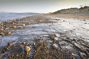 Ice and frost on the beach and sand dunes at Sandscale Haws near Barrow in Furness, Cumbria, England, United Kingdom, Europe