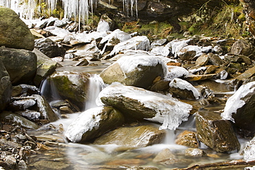 Icicles at Tilberthwaite in the Lake District during a cold snap, Cumbria, England, United Kingdom, Europe