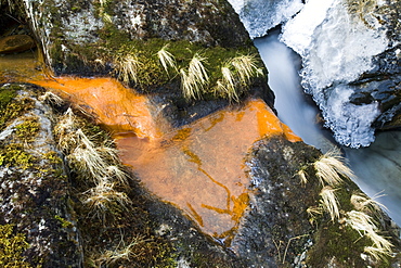 Ice on Greenburn Beck in the Lake District during a cold snap, with orange iron-rich bacteria, Cumbria, England, United Kingdom, Europe