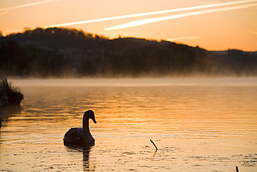 Vapour trails over Lake Windermere at dawn near Ambleside, Lake District National Park, Cumbria, England, United Kingdom, Europe