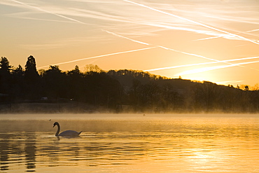 Vapour trails over Lake Windermere at dawn near Ambleside, Lake District National Park, Cumbria, England, United Kingdom, Europe