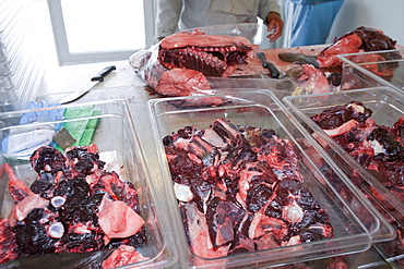 Seal meat being butchered by an Inuit man in Ilulissat in Greenland, Polar Regions