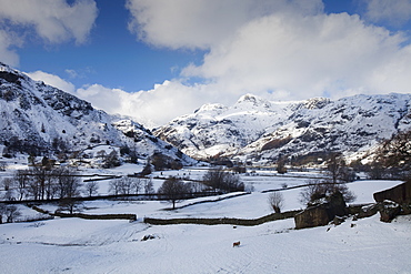 The Langdael Pikes in the Langdale Valley in the Lake District National Park, Cumbria, England, United Kingdom, Europe