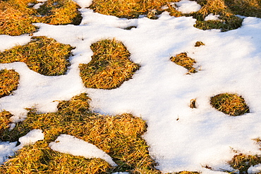 Snow melting in spring time in Ambleside, Cumbria, England, United Kingdom, Europe