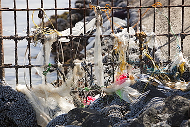 Plastic rubbish stuck on a fence, Dubai, United Arab Emirates, Middle East