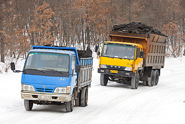 Trucks carrying highly polluting low grade coal from an open cast coal mine near Heihe, Heilongjiang, China, Asia