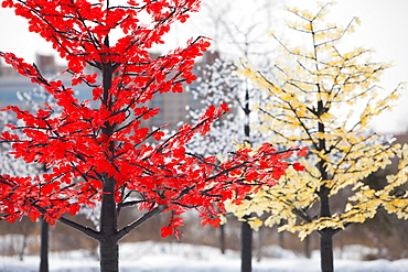 Artificial trees on the streets of the border city of Heihe in Northern China, Heilongjiang province, China, Asia