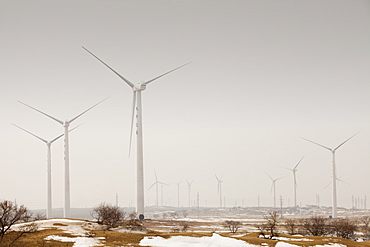 A wind farm near Hujifumo in Heilongjiang Province, northern China, Asia