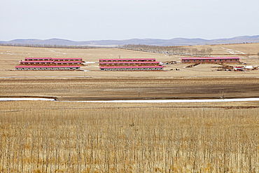 Inner Mongolia has been badly hit with ever drier conditions and creeping desertification due to climate change, China, Asia