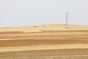 Inner Mongolia has been badly hit with ever drier conditions and creeping desertification due to climate change, China, Asia