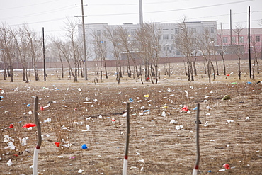 Plastic rubbish blows across the desert landscape of Inner Mongolia, China, Asia