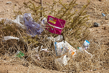 Plastic rubbish blows across the desert landscape of Inner Mongolia, China, Asia